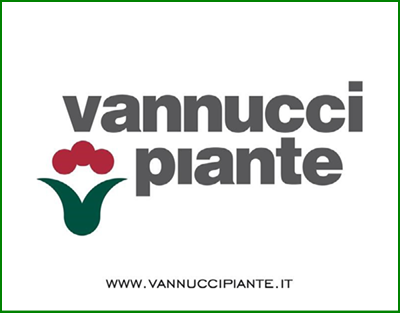 banner vannucci 400x312.5 g