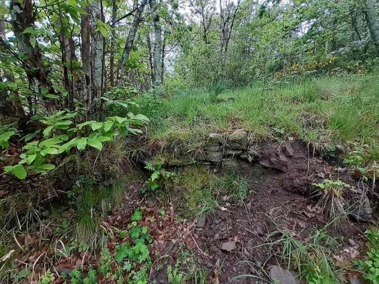 Vaiano, incontro letterario nel bosco