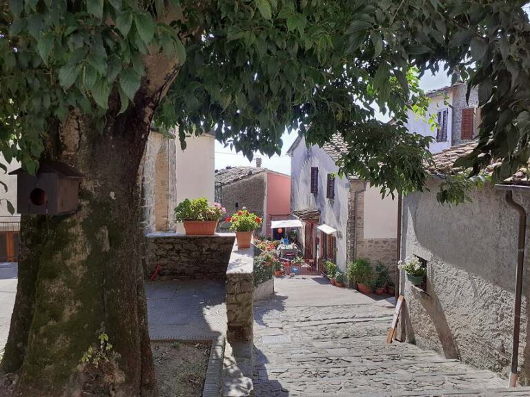 Lavori sulla rete del gas: interventi in via Castel di Cireglio e via Roccon Rosso