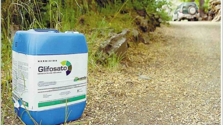 Pistoia Rossa: ‘solo nel nostro programma la lotta ai fitofarmaci’