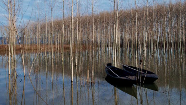 Padule di Fucecchio, incontro sul progetto di rinaturalizzazione