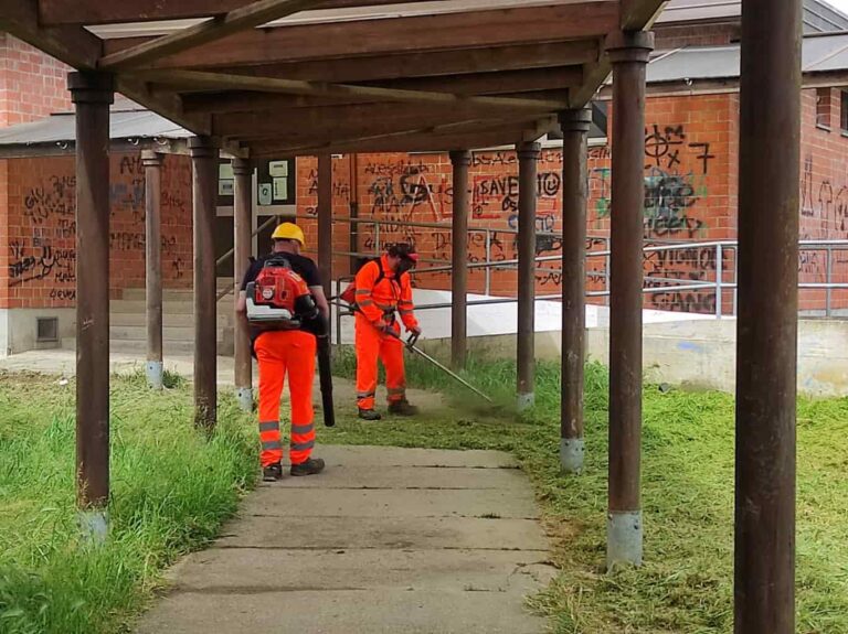 Pistoia, manutenzione del verde in via Sestini
