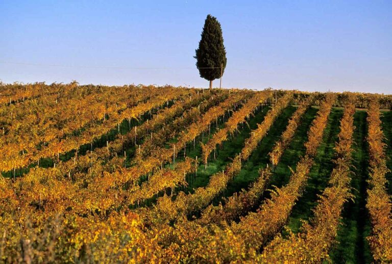 Cresce il capitale investito in Toscana dall’estero