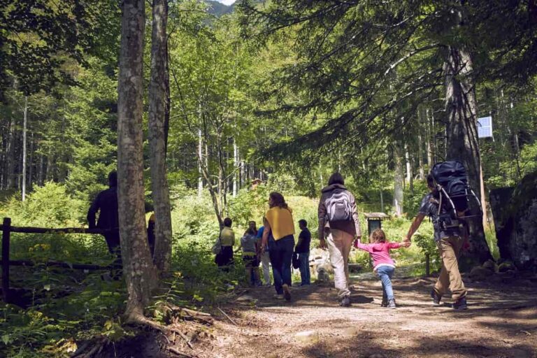 Alla scoperta dell’Orto botanico forestale di Abetone