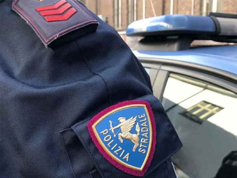 Gattino salvato dalla Polstrada nello spartitraffico dell’A 11