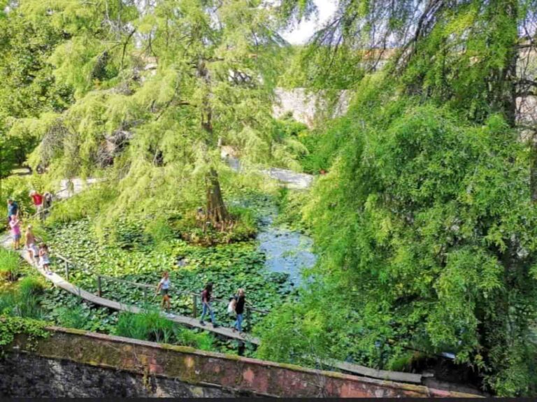 Lucca, torna Murabilia la mostra mercato del giardinaggio