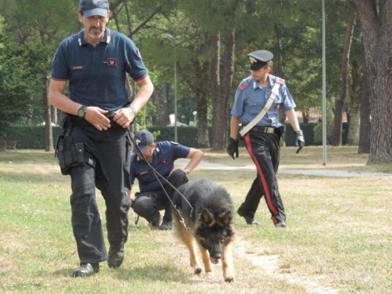 Firenze, via Canova: tre arresti per detenzione ai fini di spaccio.