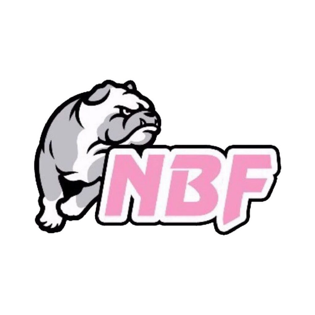 Logo Nico Basket