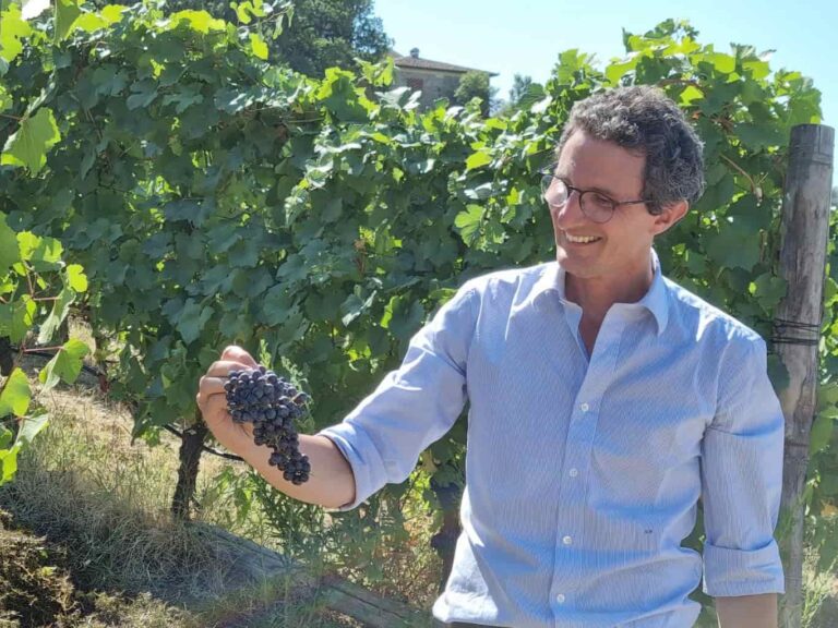 Nella tenuta Marchesi Pancrazi la vendemmia tra tecnologia e tradizione