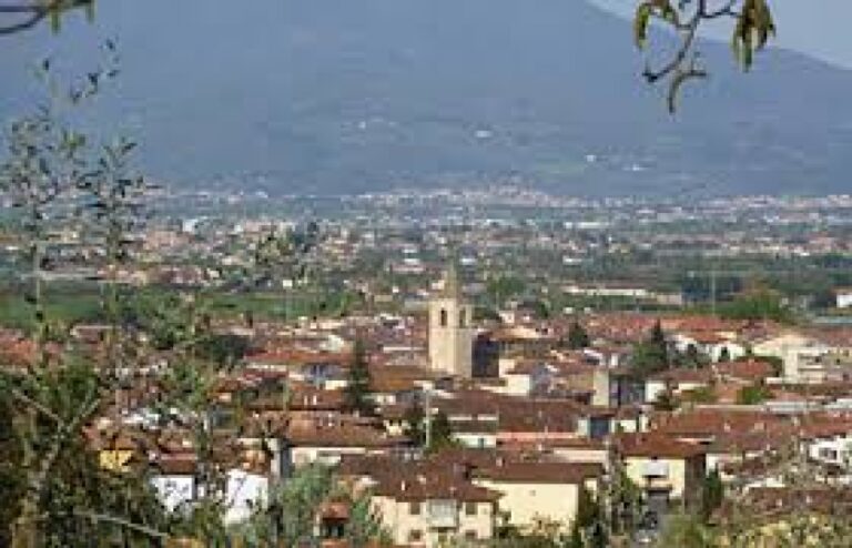 Dimesso il bimbo di 3 anni azzannato da un cane a Casalguidi. E’ stato operato al Meyer
