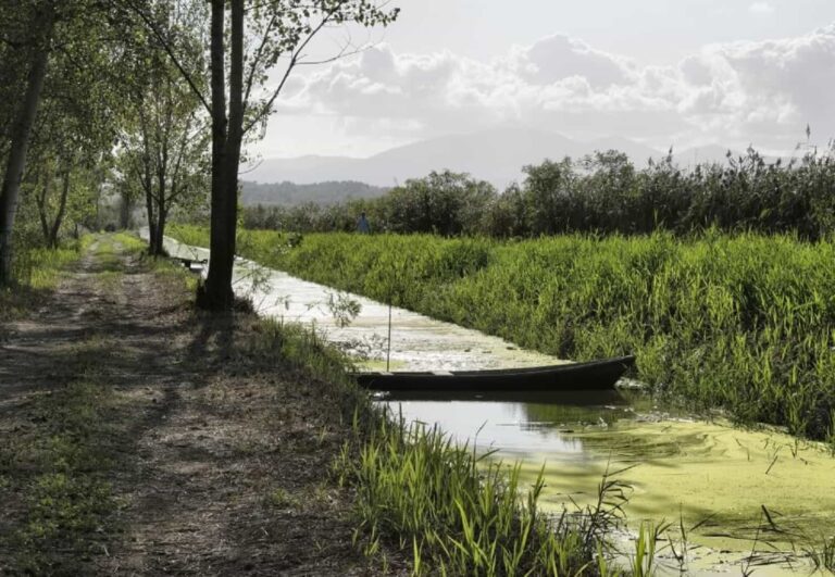 “Grave stato di abbandono e degrado del Padule di Fucecchio”