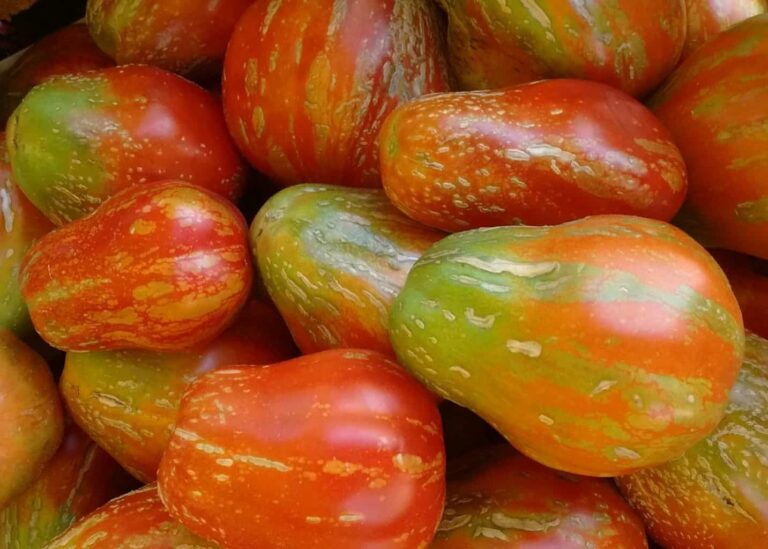 Agricoltura, “Sul Made in Italy serve task force del Governo”