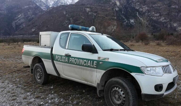 Prato, caccia con reti e trappole: denunciato bracconiere
