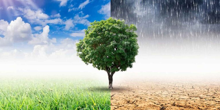 Arriva la legge regionale sul clima, la Toscana tra le prime in Italia