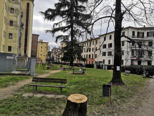 Giardino via Paganini, sottoscrizione popolare per ricostruire il boschetto