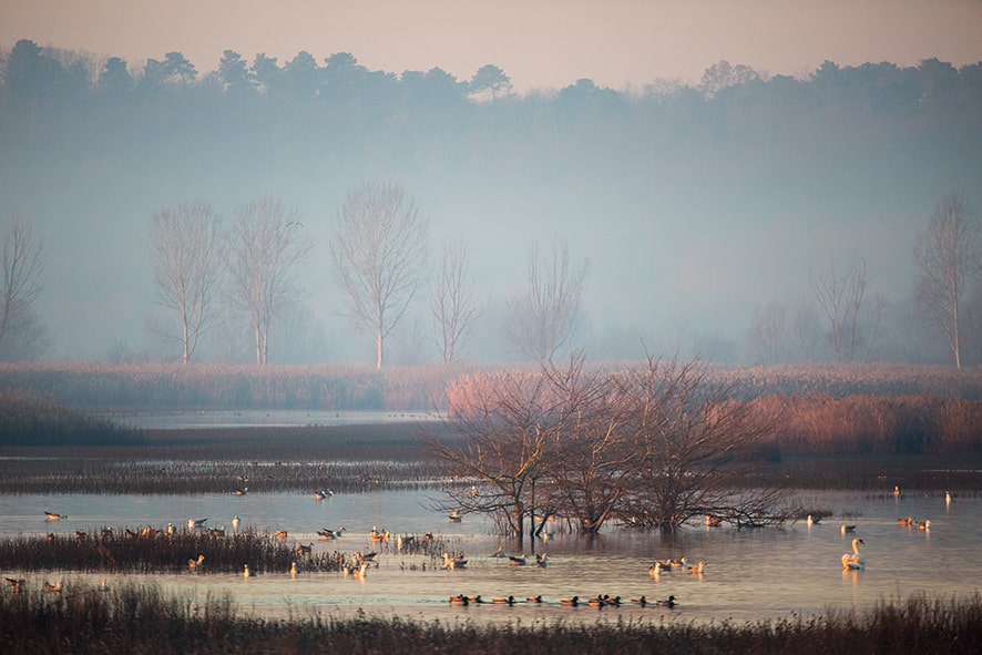 Riserva Le Morette (foto Gianneschi)