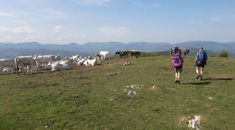 Vibrazioni Calvana, due giorni alla scoperta del territorio