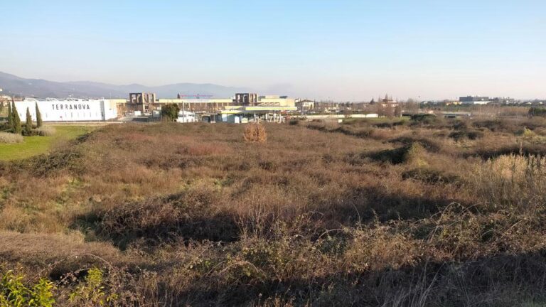 Il primo progetto di forestazione urbana sarà a Panorama. Intervista all’assessore Riccardo Trallori