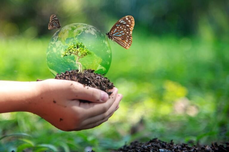 Abbecedario verde: diversità