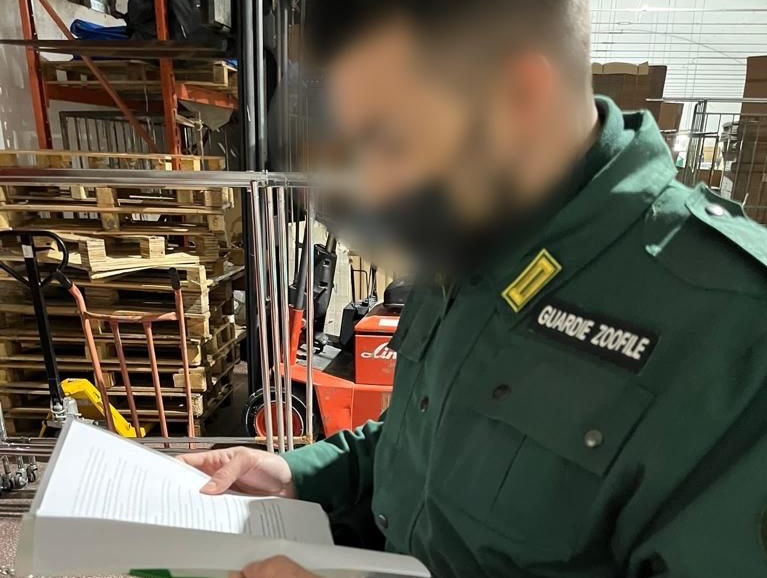 Prato, trovata in un campo la testa di un cane “parti disperse per evitare i costi di smaltimento”
