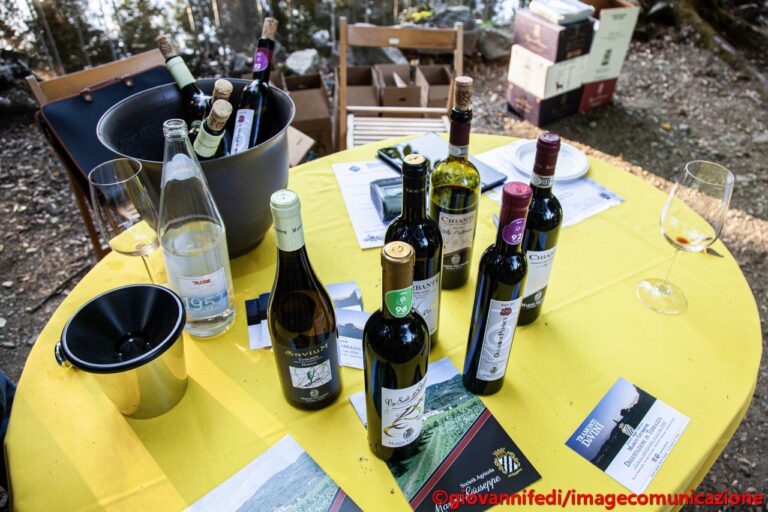 Torna la rassegna dei vini biologici e biodinamici
