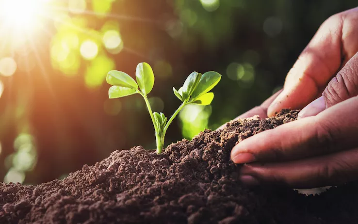 “Alimentazione, preoccupati per la direzione che sta prendendo l’UE”