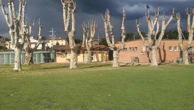 Campo Frascari, niente tariffe ridotte al Gs Avanguardia: 70 anni di storia e servizio sociale non bastano