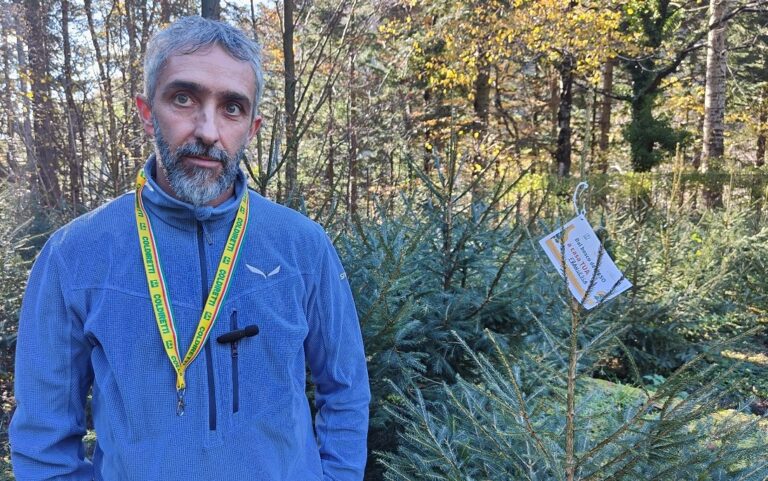 Pistoia, l’albero di Natale ritorna alla montagna: l’iniziativa un abete in adozione
