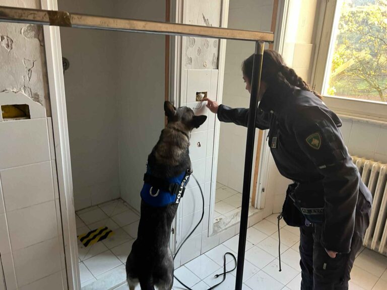 Montecatini, controlli anti droga nelle scuole: fioccano sequestri e segnalazioni