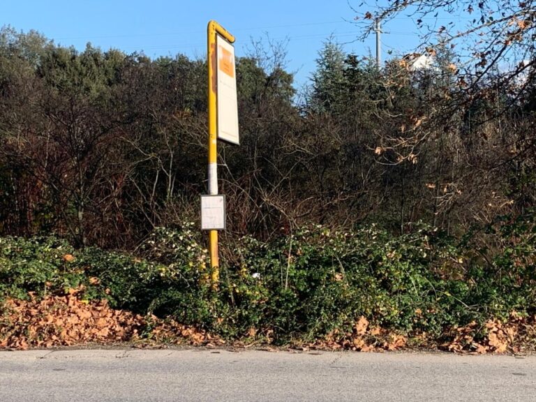 Serravalle, fermate del bus in via Bonellina: l’amministrazione interpella Provincia e Autolinee