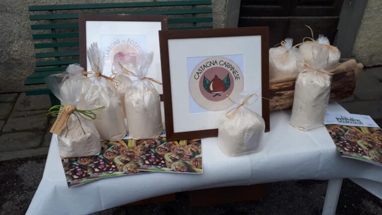 Vellano: festa dedicata alla farina di castagne