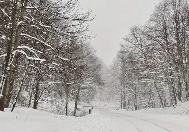 Maltempo, in Toscana codice giallo per neve sulle zone appenniniche