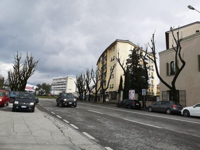 Pistoia, ecco il progetto per il viale Adua e via Sestini