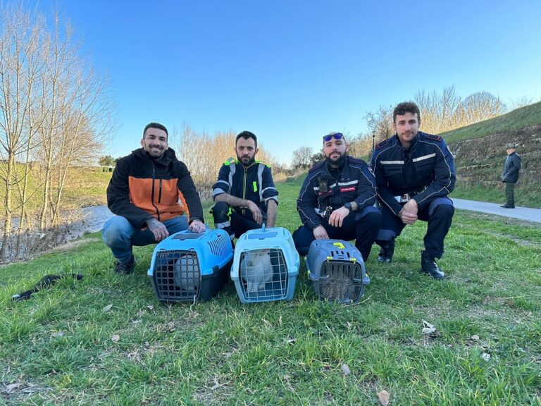 Prato, abbandona cinque conigli lungo il Bisenzio