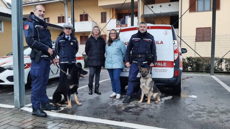L’infallibile fiuto degli agenti a quattro zampe Ritter e Tesla in azione contro lo spaccio a Prato