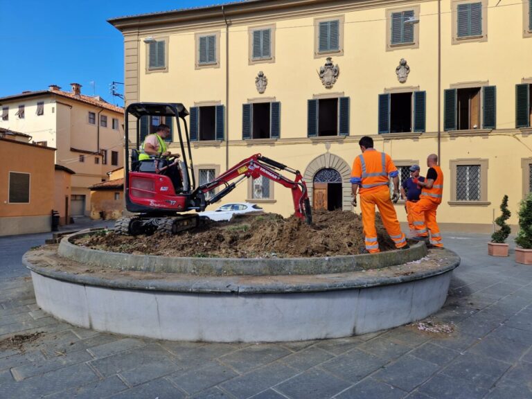 Pistoia, torna la palma in piazza Spirito Santo ed è dedicata a Marco Mungai