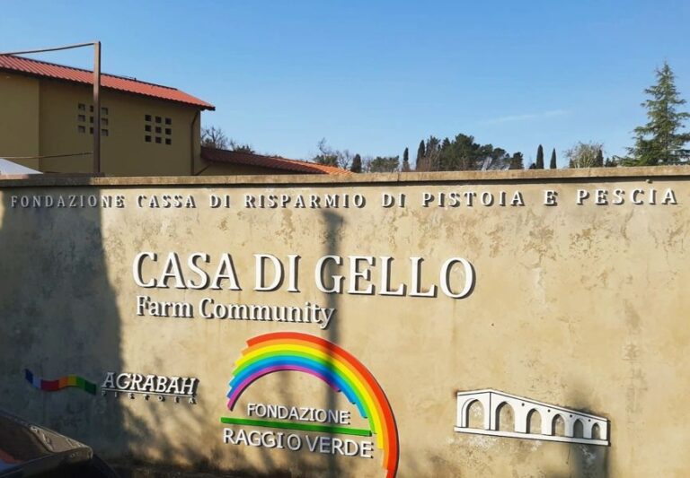 Servizio civile, un anno con Raggio Verde
