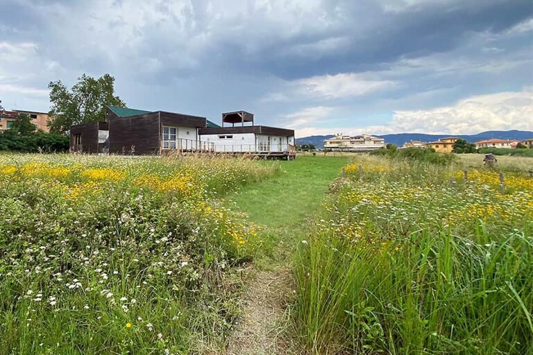 Padule: sicurezza idraulica e conservazione ambientale possono e devono coesistere