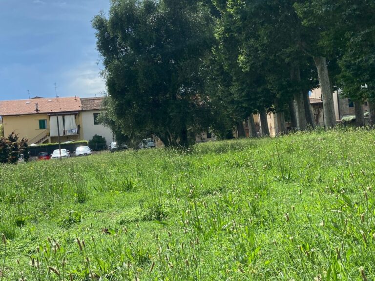 Sfalci nelle scuole, un ritardo che non ha giustificazioni