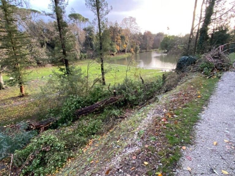 Albero cade nel parco del Villone: la cattiva manutenzione della Giunta