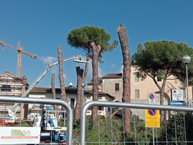 Legambiente: “Il verde urbano di Pistoia è in pericolo” Legambiente: “Il verde urbano di Pistoia è in pericolo”