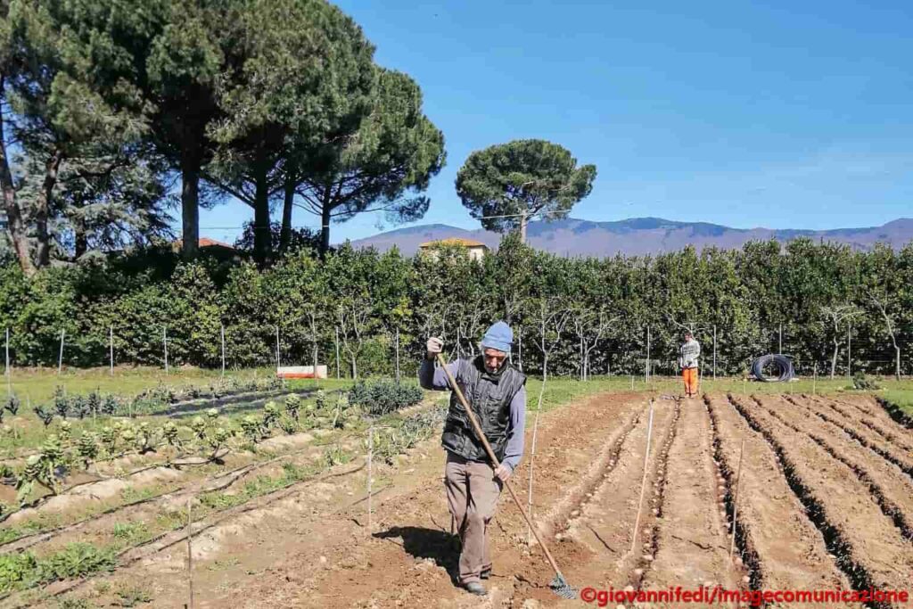 Il progetto “VALEO SI VALES … ET TU VALES” alla Camposampiero Il progetto “VALEO SI VALES … ET TU VALES” alla Camposampiero