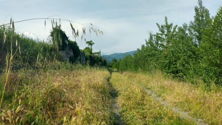 Cronocross Ombrone, giovedì modifiche alla viabilità in un tratto di via dell’Ombrone