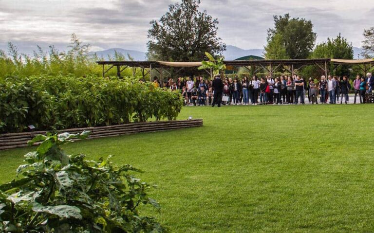 L’Accademia Italiana del Giardino di Mati 1909 lancia la “casa digitale”