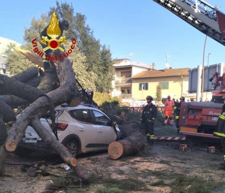 Pino cade su tre auto e uno scooter a Scandicci