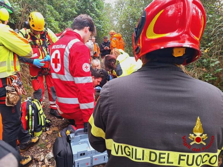 Muore mentre cerca funghi nei boschi della Lucchesia