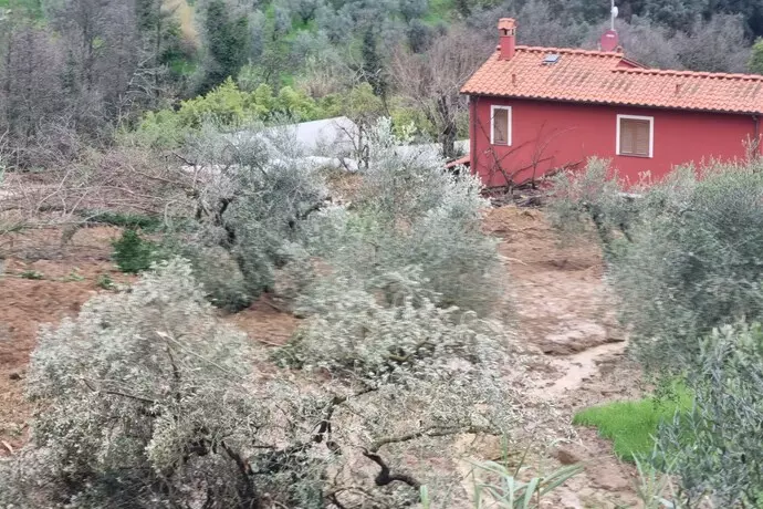 Maltempo, frana ‘colpisce’ casa e vivaio nel Pistoiese