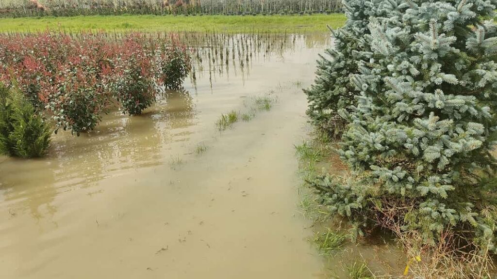 Coldiretti: slavina di fango distrugge azienda a Forrottoli; danni anche… Coldiretti: slavina di fango distrugge azienda a Forrottoli; danni anche…