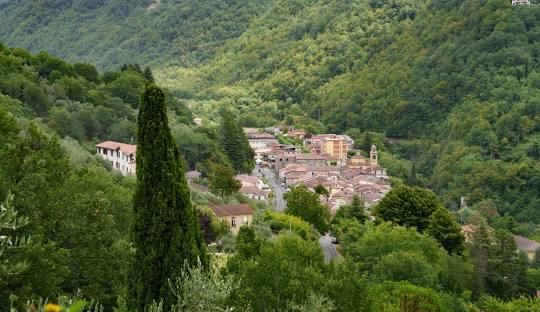 Massa Carrara. Ventenne trovato morto nei pressi di una strada