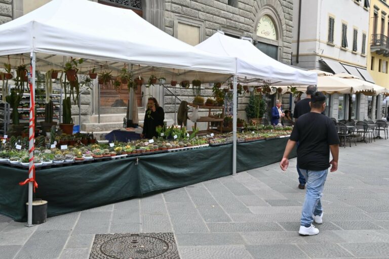 Seconda edizione di Pistoia in Fiore in centro storico